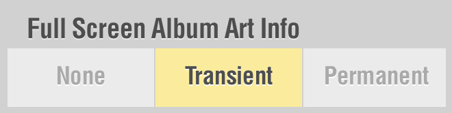 Full Screen Album Art Info